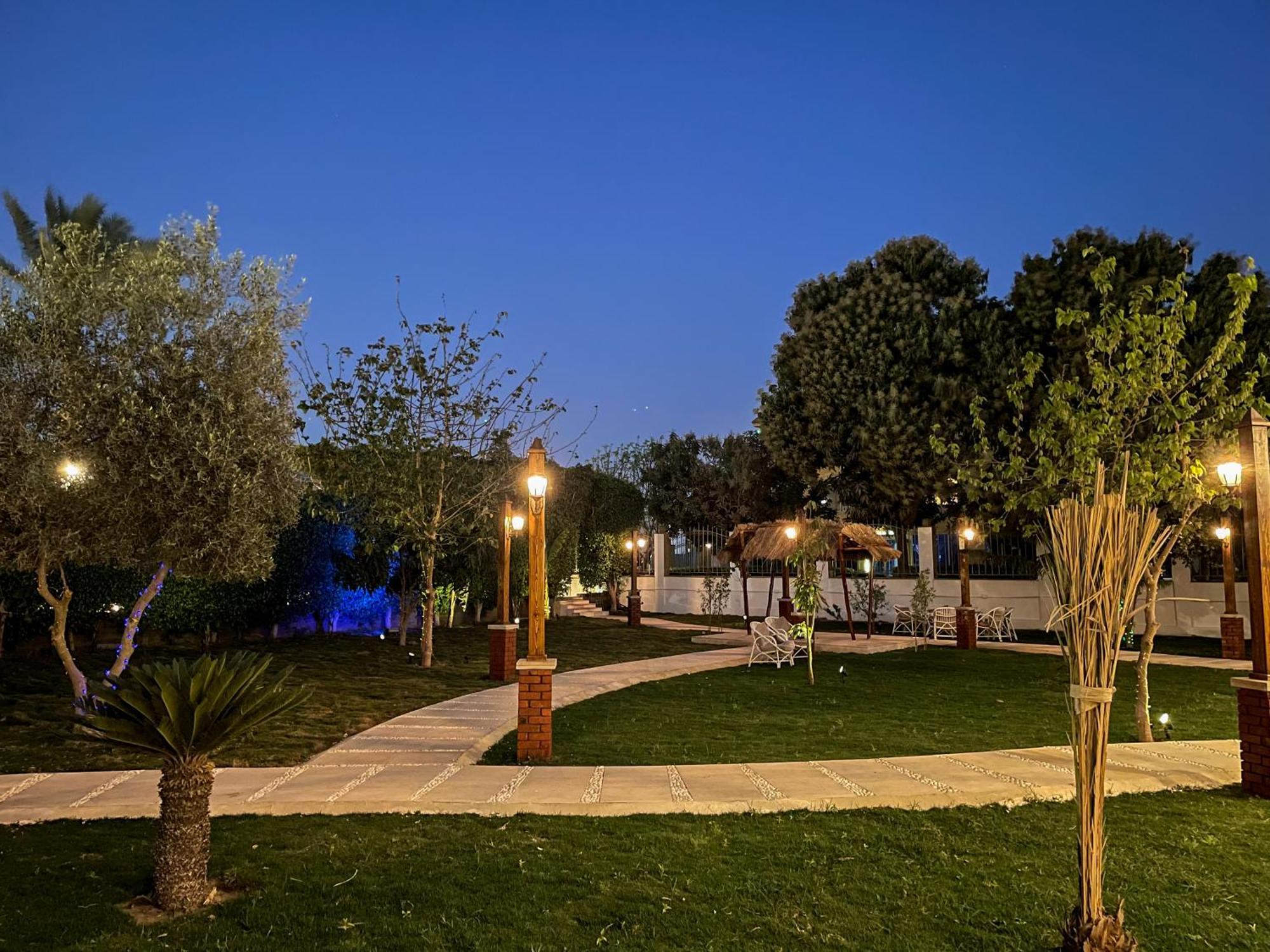 Gold Island Resort Giza Luaran gambar